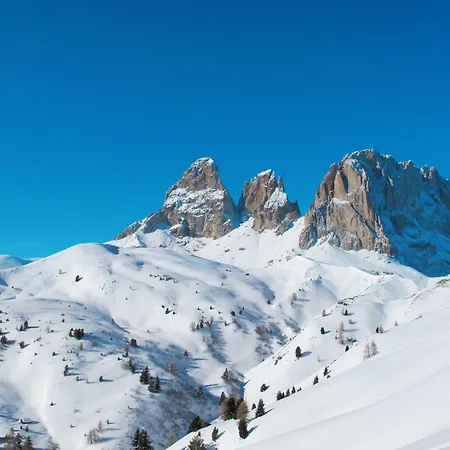 Des Alpes-18 By Interhome Apartment Campitello di Fassa